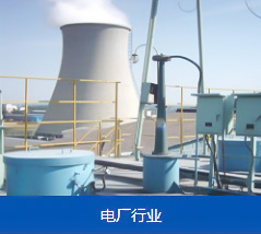 電廠行業(yè)